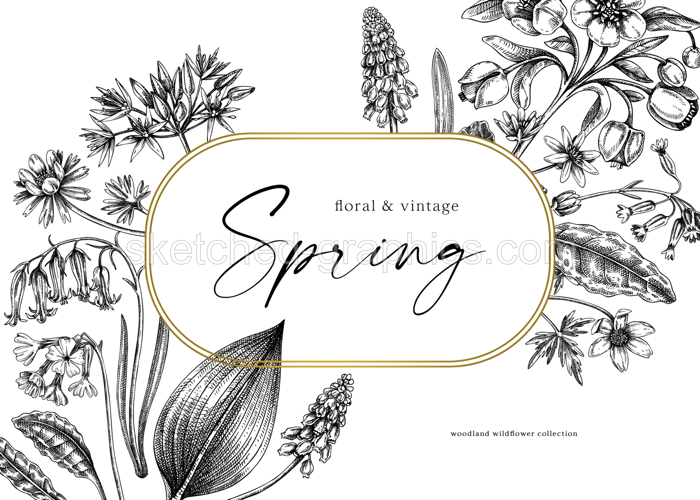 Delicate spring frame template. Hand drawn vector illustration. Woodland wild flower sketches. Floral background. Wildflower card, invitation design. Illustration